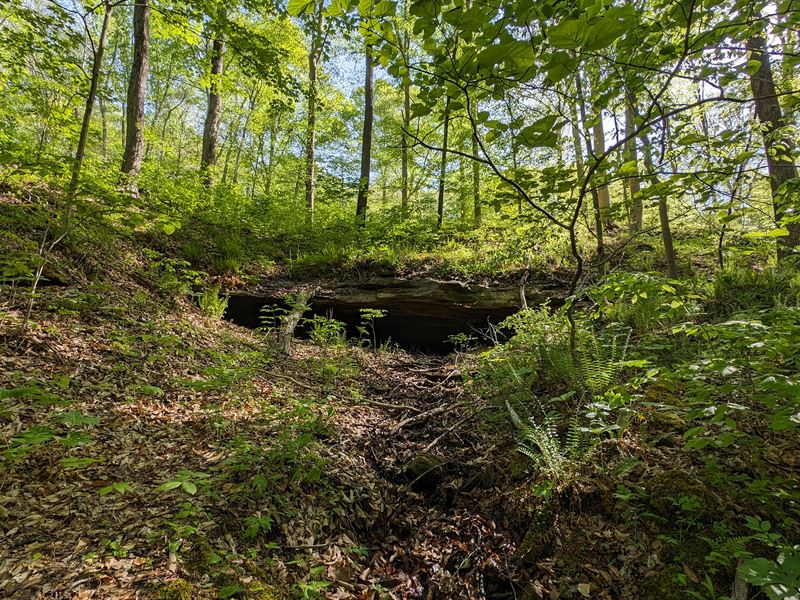 Land Near Hocking Hills : Logan : Hocking County : Ohio