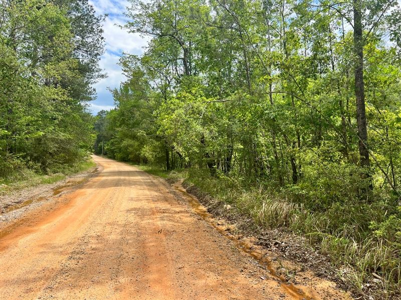 17 Acres in Wayne County, MS In, Farm for Sale by Owner in Mississippi