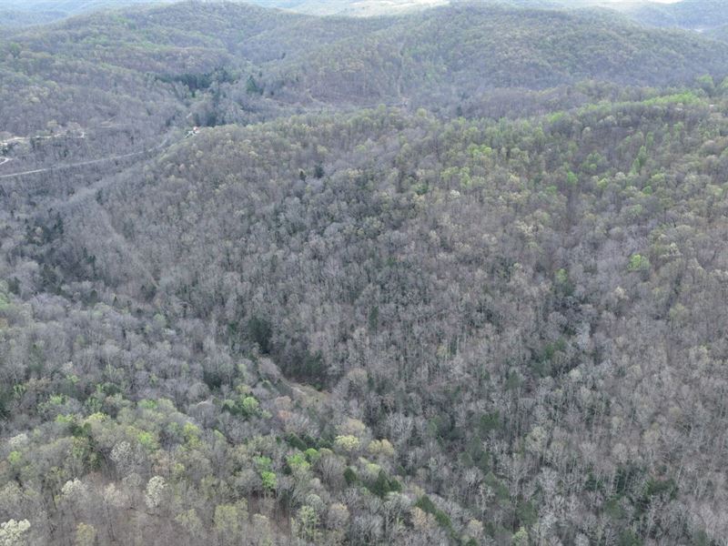 96.6 Ac in Clay County, WV, Farm for Sale by Owner in West Virginia