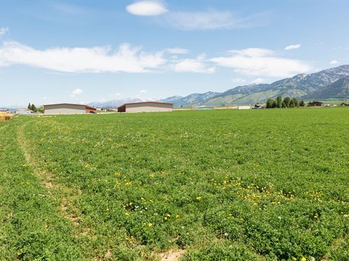 Great Development Opportunity Etna : Thayne : Lincoln County : Wyoming