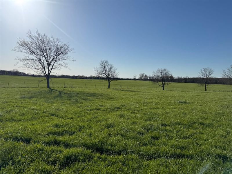 155 Acre Cattle Farm : Long Lane : Dallas County : Missouri