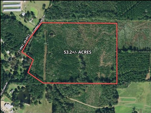 53.2 Acres In Simpson County In Men : Mendenhall : Simpson County : Mississippi