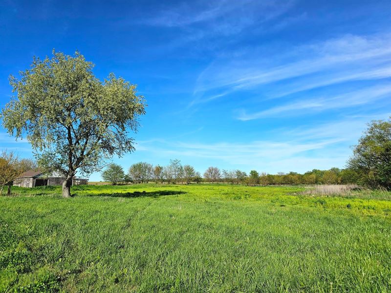 Tillable Ground Near Hoopeston, IL : Hoopeston : Vermilion County : Illinois
