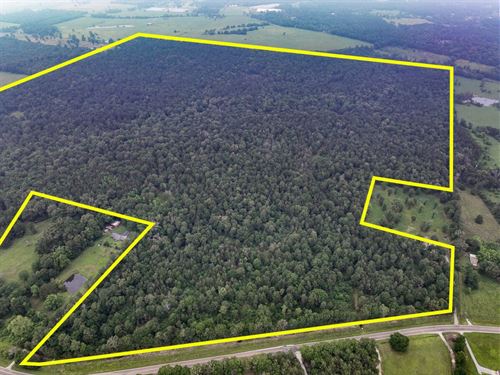 341 Acres FM 1475 : Lufkin : Angelina County : Texas