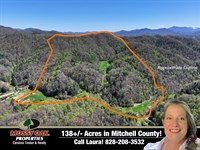 138 Acres of Pure Mountain Parad : Green Mountain : Mitchell County : North Carolina
