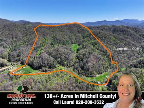 138 Acres of Pure Mountain Parad : Green Mountain : Mitchell County : North Carolina