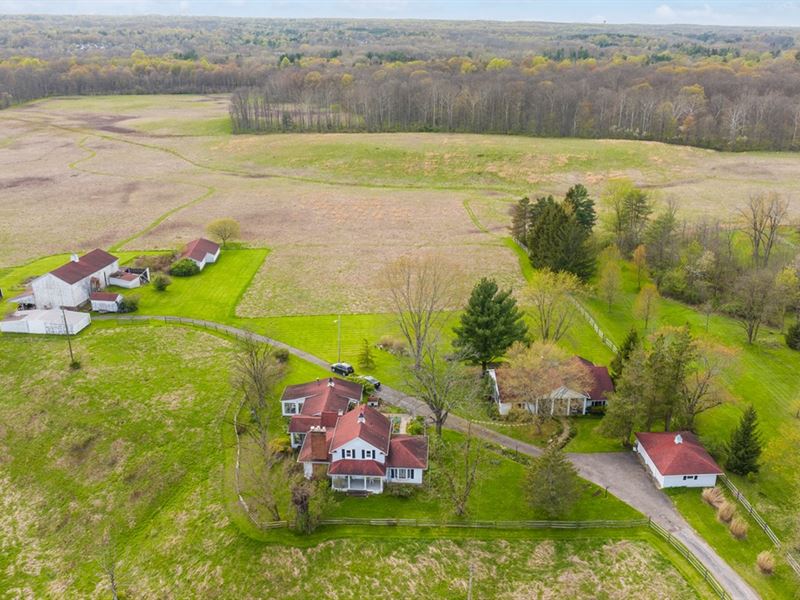 122 Acre Homestead Holdout, Farm Auction in Ohio, 374509 FARMFLIP