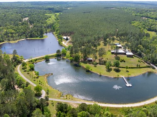 Whitewater Creek High Fence : Mauk : Taylor County : Georgia