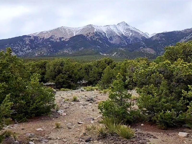 View Foothills of Mt. Blanca : Blanca : Costilla County : Colorado