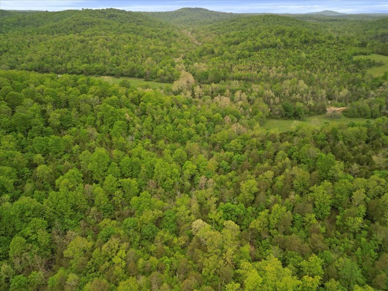 Secluded, Off-Grid Hunting Property : Gainesville : Ozark County : Missouri