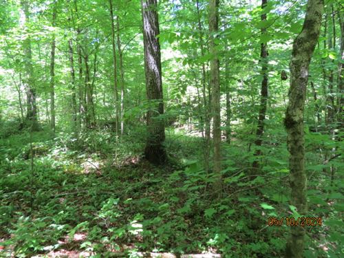 Between Smith Lake & Birmingham : Dodge City : Cullman County : Alabama