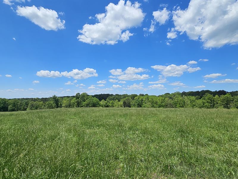 Land for Sale, Hunting Property : Summersville : Texas County : Missouri