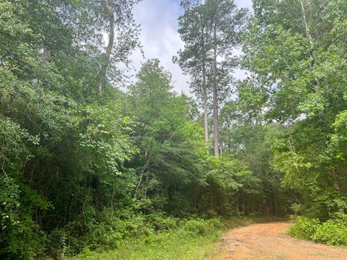 20 Acres Bracken Cemetery Road : Honey Island : Hardin County : Texas