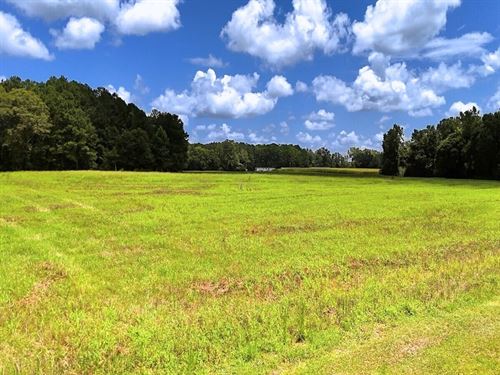 65.25 Acres of Fa : Maple Hill : Onslow County : North Carolina