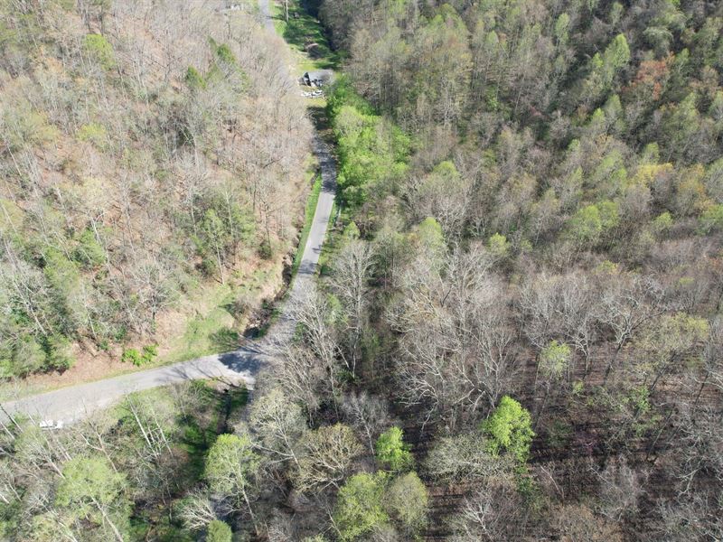 43.63 Ac in Lee County, VA, Farm for Sale by Owner in Virginia, 375030 FARMFLIP