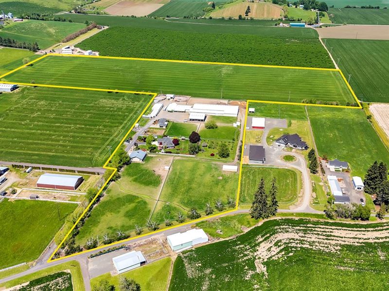 Double E Ranch : McMinnville : Yamhill County : Oregon