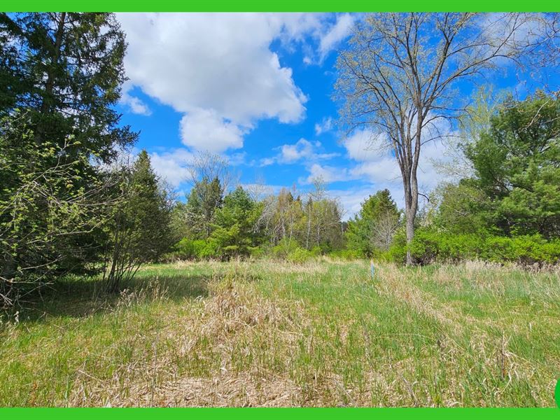 10 Acres in Trout Creek, MI : Trout Creek : Ontonagon County : Michigan