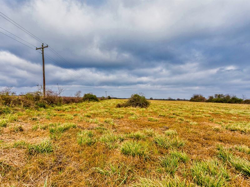 11.23 Acres Near Houston, TX : Eagle Lake : Colorado County : Texas