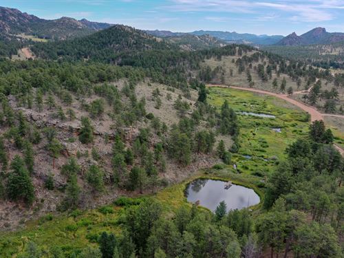 Red Feather Lakes Acreage And Water : Red Feather Lakes : Larimer County : Colorado
