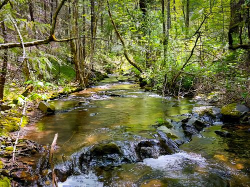 Ashland Creek Ranch : Pioneer : Amador County : California
