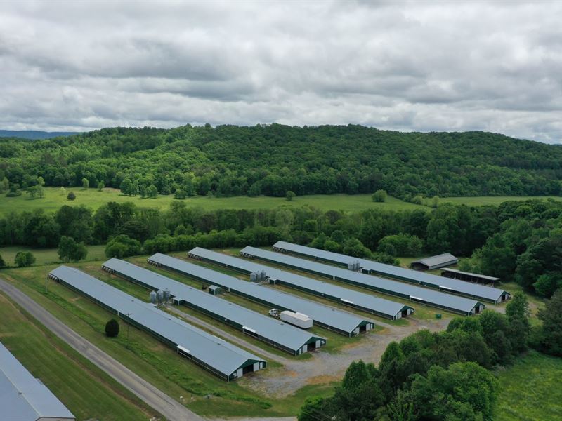 Price Reduced, Rnc Broiler Farm : Lafayette : Walker County : Alabama