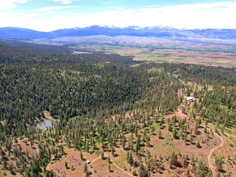 C4ever Ranch : Prairie City : Grant County : Oregon