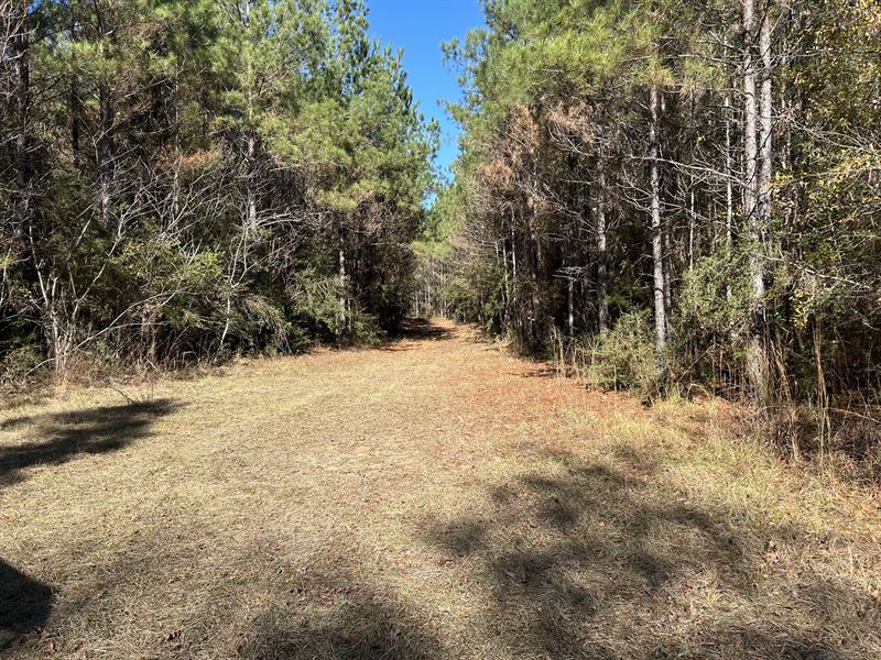 Dwain Road : Magnolia : Amite County : Mississippi