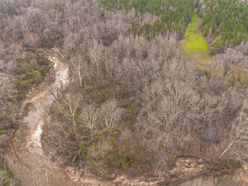 Creekside Retreat with Mature Hardw : Byram : Hinds County : Mississippi