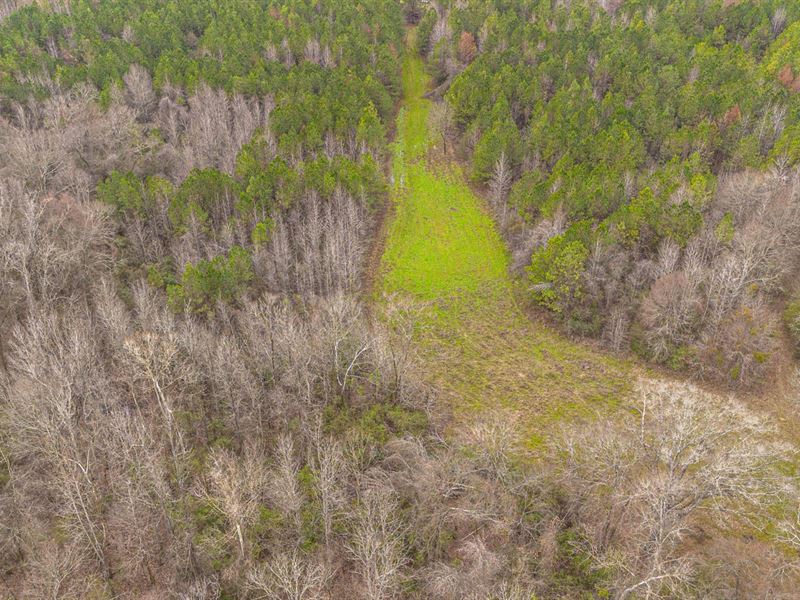Hunting, Timber, and Sandy Creek : Byram : Hinds County : Mississippi