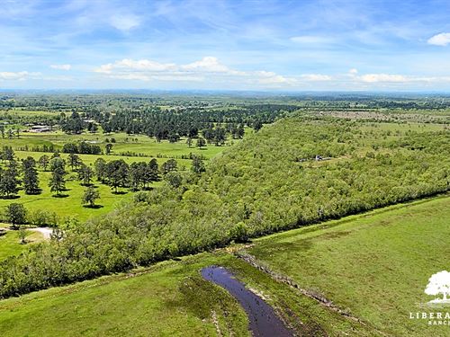 Liberty Tract 1, Only $15K Down : Liberty : Texas