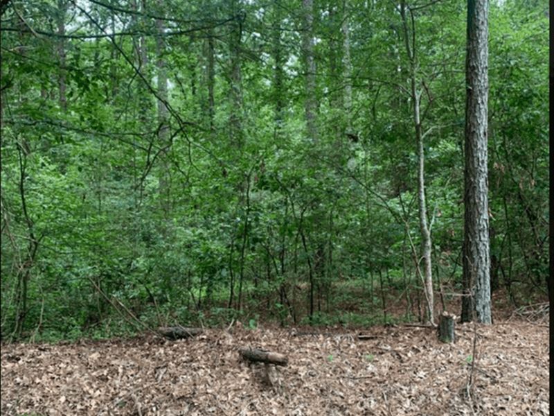 Ar, Chicot 188 Acres : Eudora : Chicot County : Arkansas
