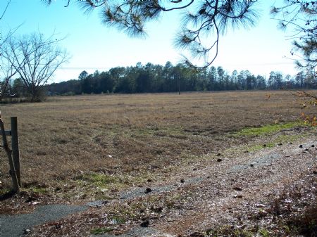 Cypress House, Timber, Creek, Pond : Americus/ellaville : Sumter County : Georgia