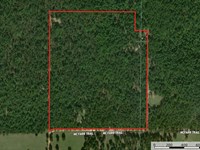 Wirth Property, 39 Acres : Wirth : Sharp County : Arkansas