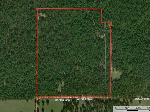Wirth Property, 39 Acres : Wirth : Sharp County : Arkansas