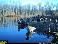 Rixie Road Duck Club 51 : North Little Rock : Pulaski County : Arkansas