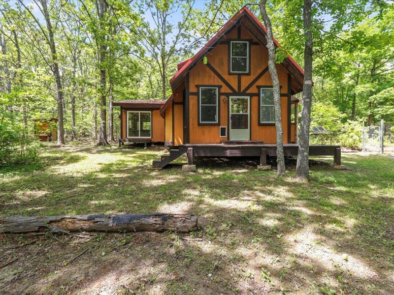 Off Grid Homestead : Solo : Texas County : Missouri