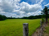 The All Inclusive 170 Farm : Middleton : Hardeman County : Tennessee