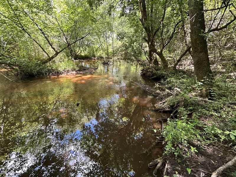 Mossy Creek Wooded Lot : Fort Valley : Peach County : Georgia