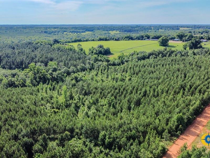 Draneville Tract : Buena Vista : Marion County : Georgia