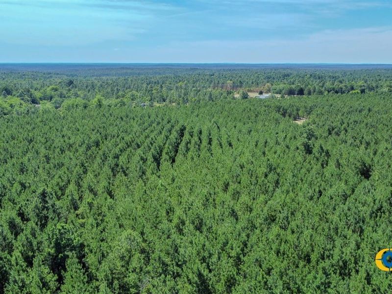 Miller Road West Tract : Mauk : Marion County : Georgia