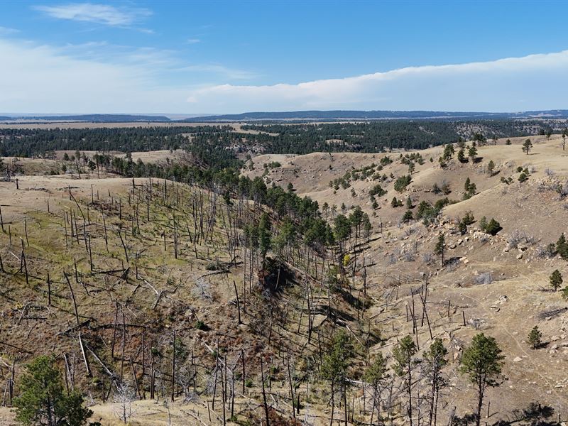 Tower Lookout Ranch : Moorcroft : Crook County : Wyoming