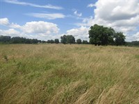 Building Lot Near Hugo Lake Sawyer : Sawyer : Choctaw County : Oklahoma