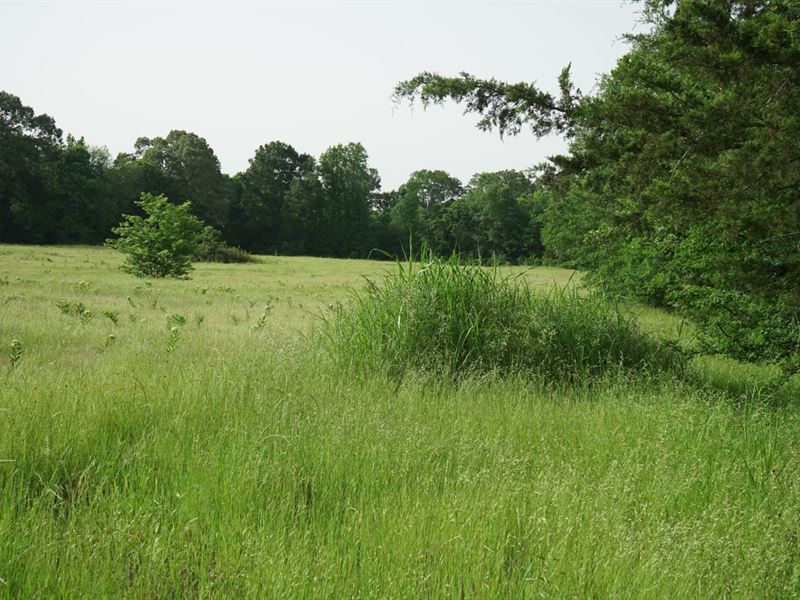 Home Site, Hunting Mecca Close To : Sawyer : Choctaw County : Oklahoma