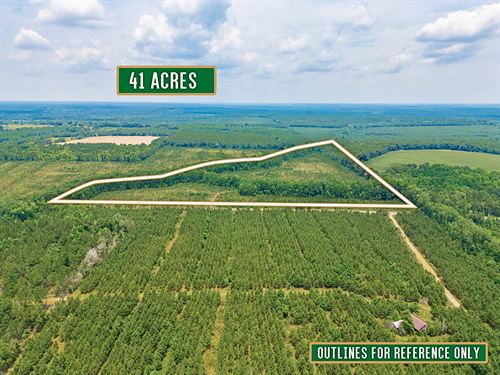 41 Acre Retreat with Thriving Pines : Lumber City : Telfair County : Georgia