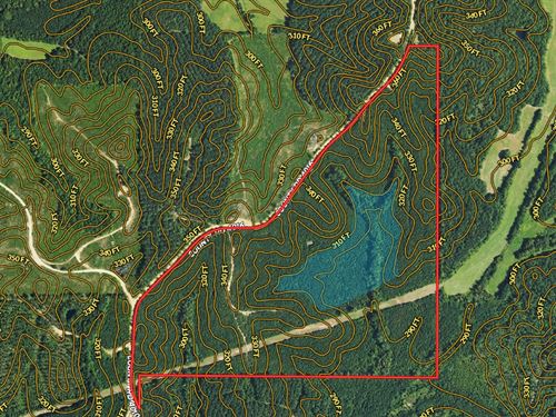 Deer Lake, Timber & Hunting : Sallis : Attala County : Mississippi