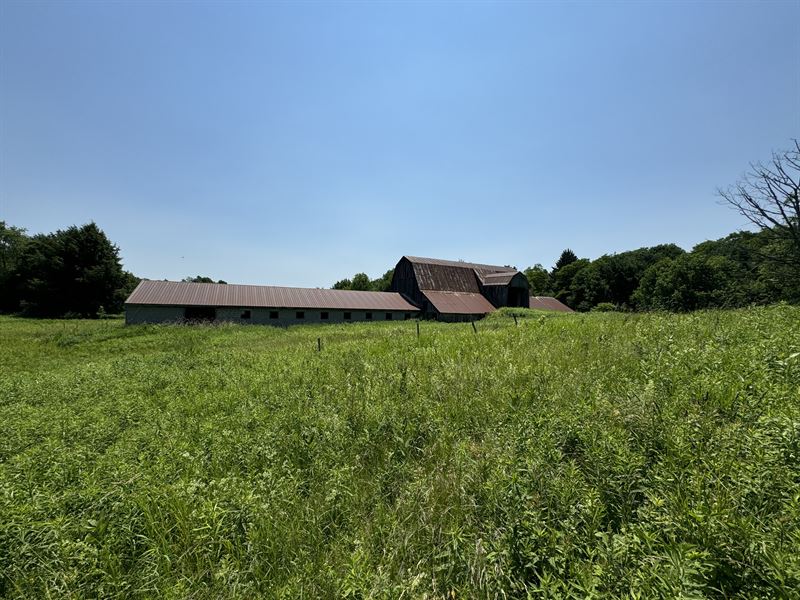 Dutch Hill Farm, Farm for Sale in New York, 377321 FARMFLIP