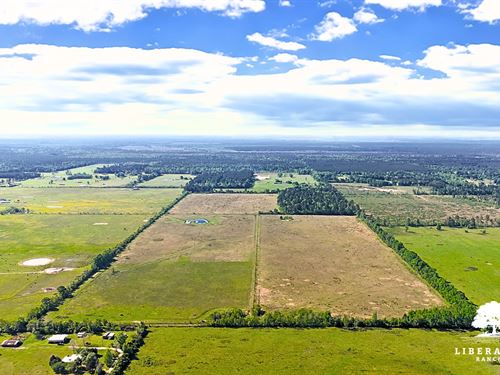 Dayton Tract 4, Only $15K Down : Dayton : Liberty County : Texas