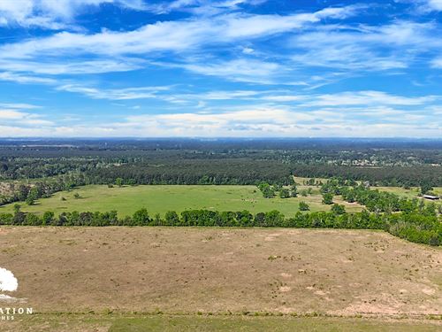 Dayton Tract 5, Only $15K Down : Dayton : Liberty County : Texas
