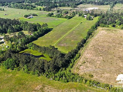Dayton Tract 8, Only $15K Down : Dayton : Liberty County : Texas