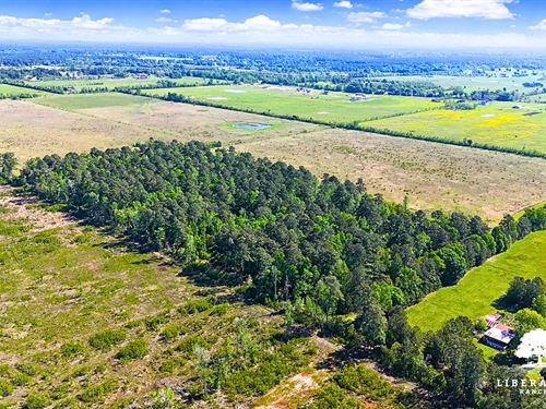 Dayton Tract 9, Only $15K Down : Dayton : Liberty County : Texas